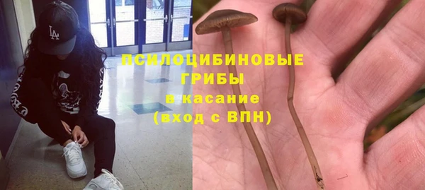 спайс Козельск