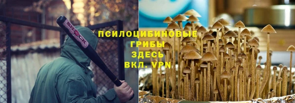 прущая мука Козловка